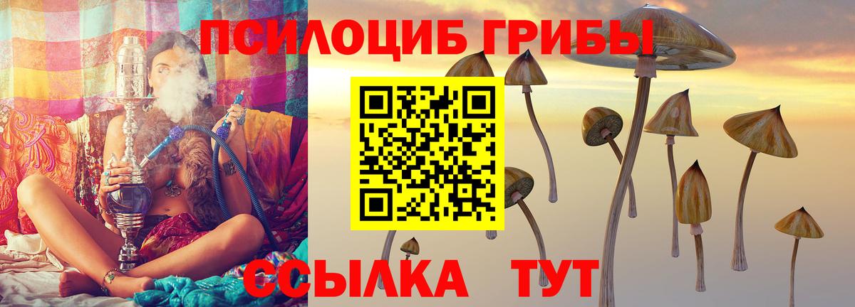 Галлюциногенные грибы MAGIC MUSHROOMS  Вход с VPN  Бийск 